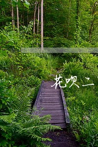 花呗二百逾期半年 花呗二百逾期半年
