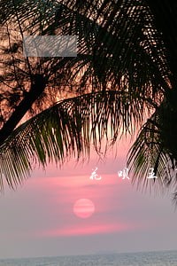 花呗五万额度逾期 花呗五万额度逾期