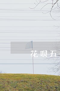 花呗五十元逾期会不会打电话