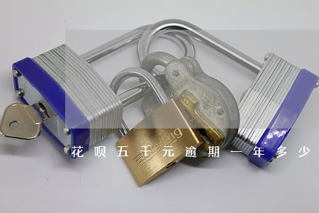 花呗五千元逾期一年多少钱 花呗五千元逾期一年多少钱