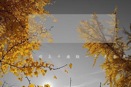 花呗五千逾期一个月要多少利息 花呗五千逾期一个月要多少利息