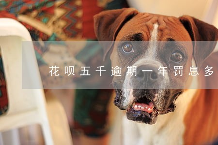 花呗五千逾期一年罚息多少 花呗五千逾期一年罚息多少