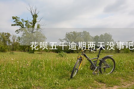 花呗五千逾期两天没事吧 花呗五千逾期两天没事吧