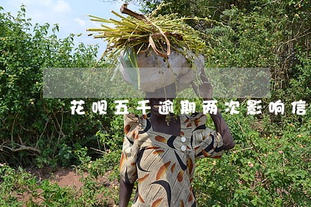 花呗五千逾期两次影响信誉么 花呗五千逾期两次影响信誉么