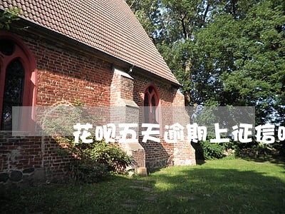 花呗五天逾期上征信吗 花呗五天逾期上征信吗