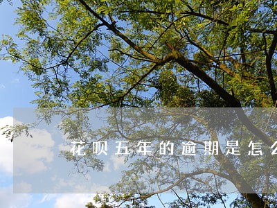花呗五年的逾期是怎么样的 花呗五年的逾期是怎么样的