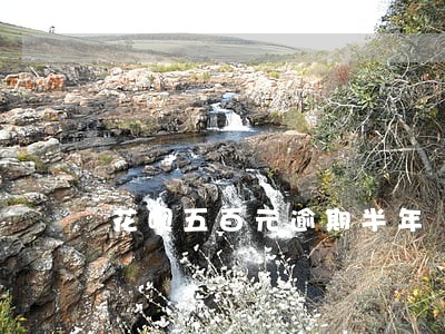 花呗五百元逾期半年 花呗五百元逾期半年