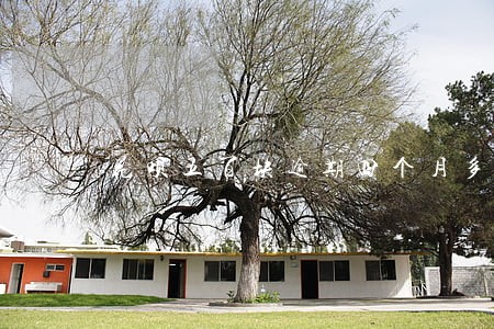 花呗五百块逾期四个月多久能恢复 花呗五百块逾期四个月多久能恢复