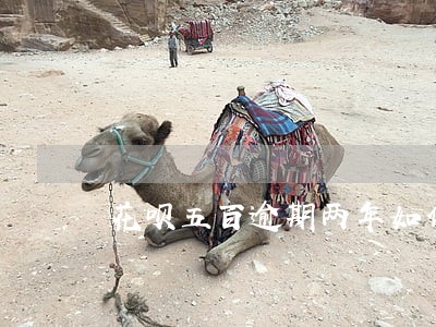 花呗五百逾期两年如何还钱 花呗五百逾期两年如何还钱