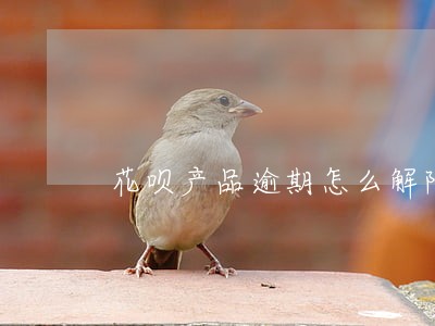 花呗产品逾期怎么解除 花呗产品逾期怎么解除