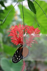 花呗产品逾期记录怎么查 花呗产品逾期记录怎么查