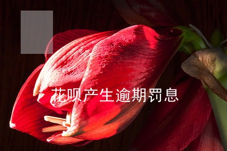 花呗产生逾期罚息 花呗产生逾期罚息
