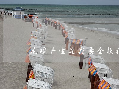 花呗产生逾期要全款结清是第几条 花呗产生逾期要全款结清是第几条