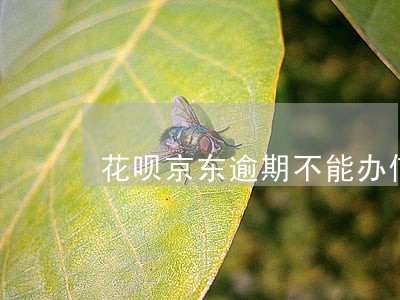 花呗京东逾期不能办信用卡吗 花呗京东逾期不能办信用卡吗