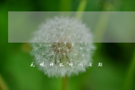 花呗什么时间逾期 花呗什么时间逾期