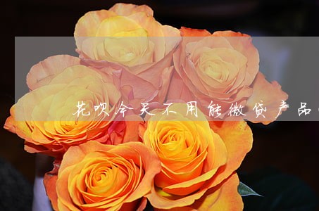 花呗今天不用能微贷产品逾期 花呗今天不用能微贷产品逾期