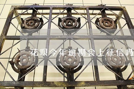 花呗今年逾期会上征信吗 花呗今年逾期会上征信吗
