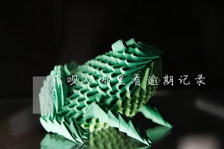 花呗从哪里看逾期记录 花呗从哪里看逾期记录