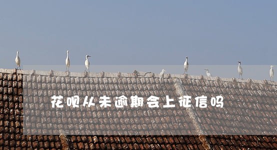 花呗从未逾期会上征信吗 花呗从未逾期会上征信吗