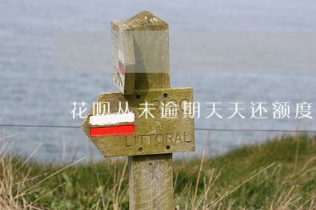 花呗从未逾期天天还额度怎么降了 花呗从未逾期天天还额度怎么降了