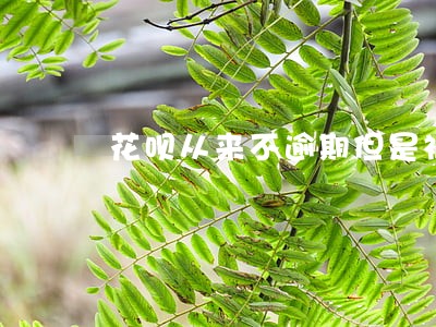 花呗从来不逾期但是被冻结 花呗从来不逾期但是被冻结