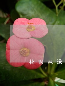 花呗从没逾期过为什么额度降了 花呗从没逾期过为什么额度降了