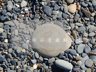 花呗从没逾期还款为何冻结 花呗从没逾期还款为何冻结