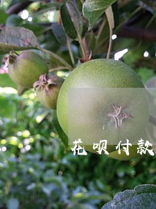 花呗付款没有逾期怎么还 花呗付款没有逾期怎么还
