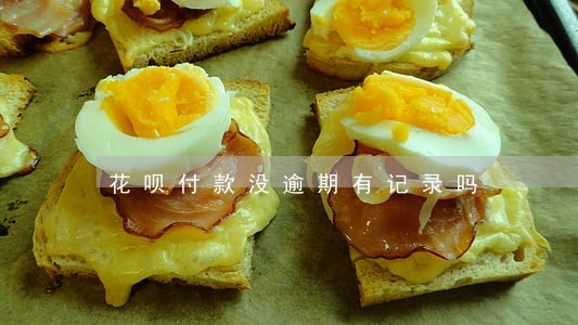 花呗付款没逾期有记录吗 花呗付款没逾期有记录吗