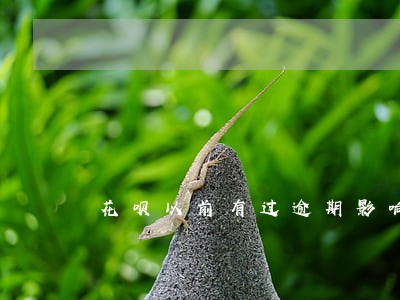 花呗以前有过逾期影响征兵政审吗 花呗以前有过逾期影响征兵政审吗