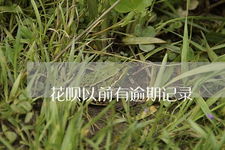 花呗以前有逾期记录 花呗以前有逾期记录