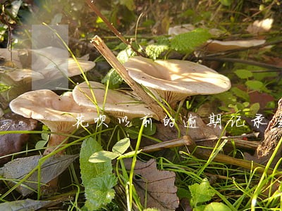 花呗以前的逾期记录会上征信吗 花呗以前的逾期记录会上征信吗