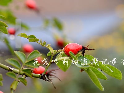花呗以前的逾期记录有影响吗 花呗以前的逾期记录有影响吗