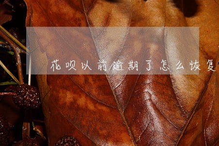 花呗以前逾期了怎么恢复 花呗以前逾期了怎么恢复