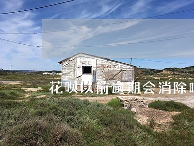 花呗以前逾期会消除吗 花呗以前逾期会消除吗