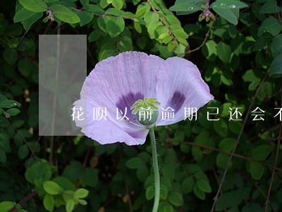 花呗以前逾期已还会不会上征信 花呗以前逾期已还会不会上征信
