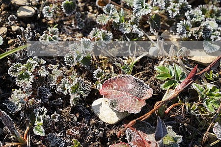花呗以前逾期过可以办信用卡吗 花呗以前逾期过可以办信用卡吗