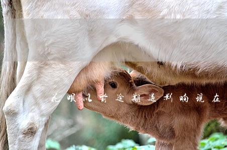 花呗以前逾期过影响现在吗 花呗以前逾期过影响现在吗