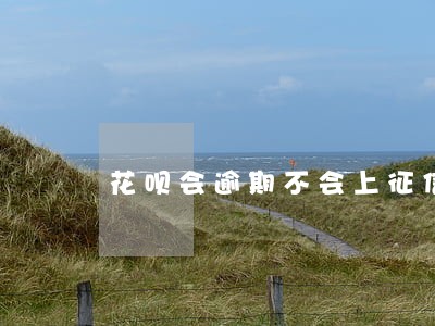花呗会逾期不会上征信报告 花呗会逾期不会上征信报告