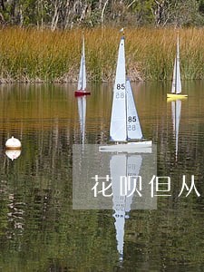 花呗但从不逾期对征信有影响吗 花呗但从不逾期对征信有影响吗