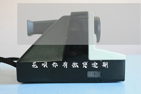 花呗你有微贷逾期 花呗你有微贷逾期