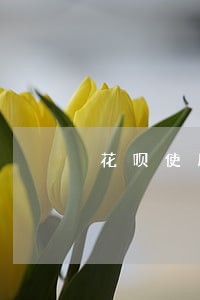 花呗使用不逾期会影响车贷吗 花呗使用不逾期会影响车贷吗
