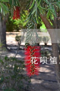 花呗信息被盗用逾期影响征信么 花呗信息被盗用逾期影响征信么