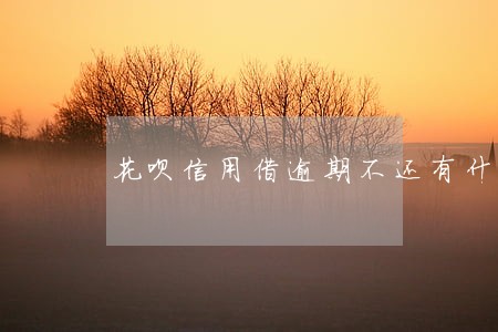 花呗信用借逾期不还有什么后果 花呗信用借逾期不还有什么后果