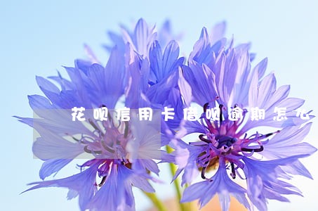 花呗信用卡借呗逾期怎么办 花呗信用卡借呗逾期怎么办