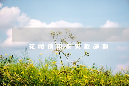 花呗信用卡欠款逾期
