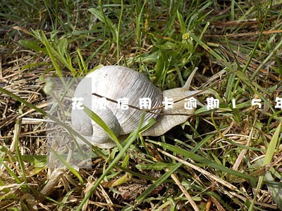 花呗信用卡逾期15年了 花呗信用卡逾期15年了