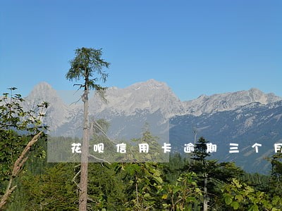 花呗信用卡逾期三个月 花呗信用卡逾期三个月