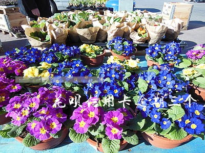 花呗信用卡逾期三个月会怎么样 花呗信用卡逾期三个月会怎么样