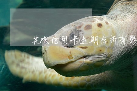 花呗信用卡逾期存折有影响吗 花呗信用卡逾期存折有影响吗